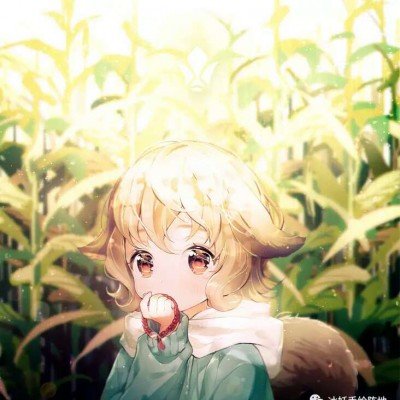 网友称上坟发现墓碑被贴欠费通知单
